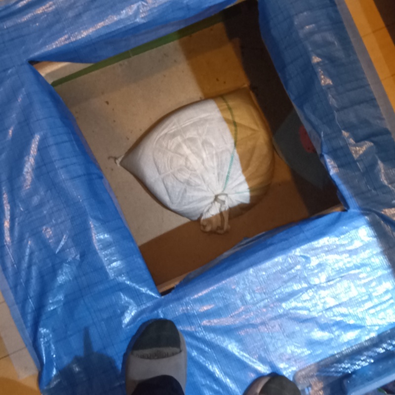 シロアリ駆除の施工事例（東京都杉並区久我山）