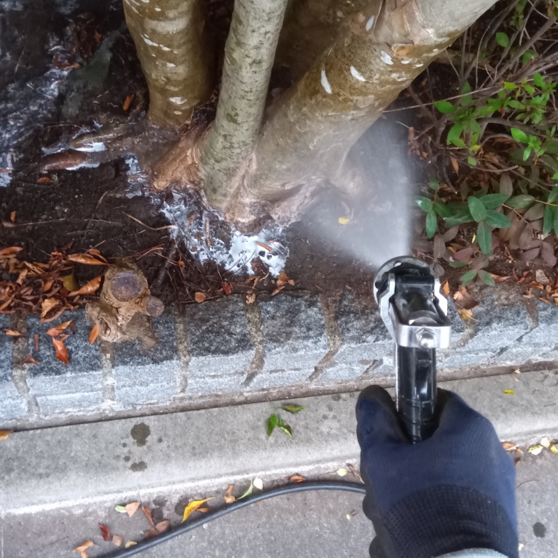 植木にシロアリ駆除剤を吹きつけている様子