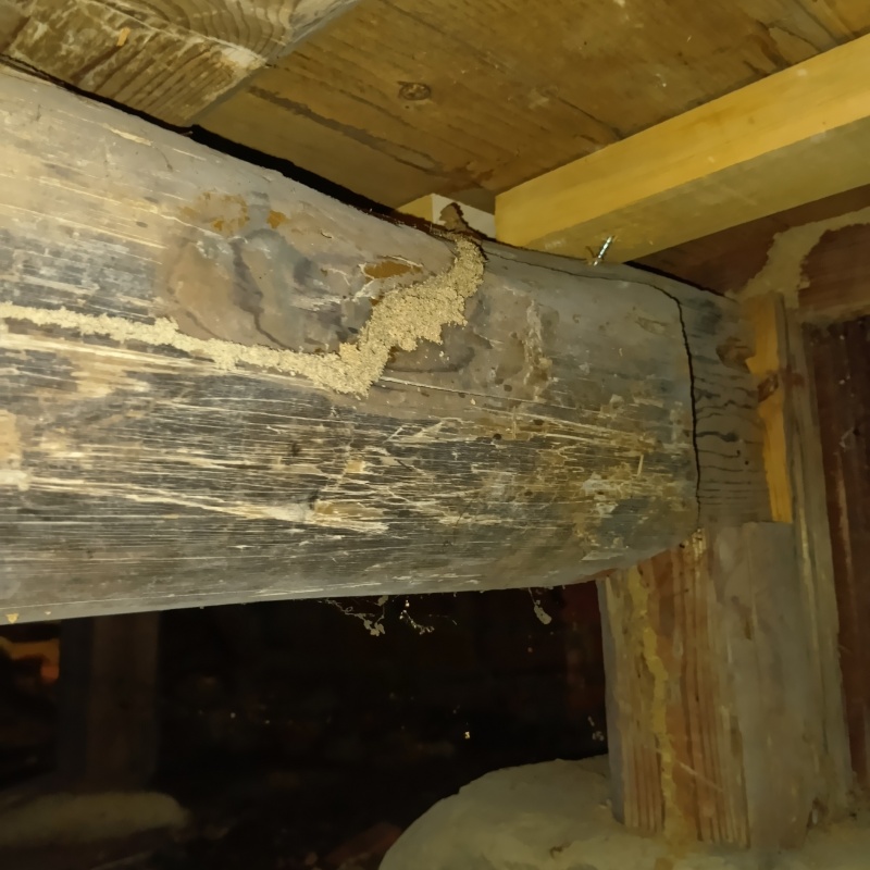 築年数80年のシロアリ駆除の施工事例（香川県さぬき市津田町津田）