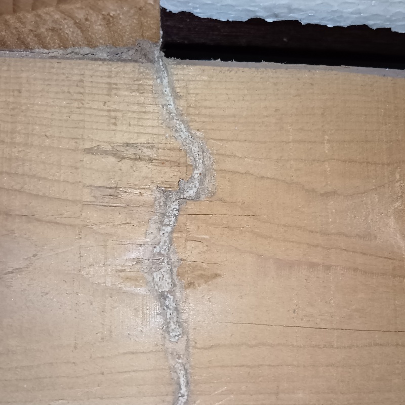 築年数26年のシロアリ駆除の施工事例（兵庫県加西市北条町北条）