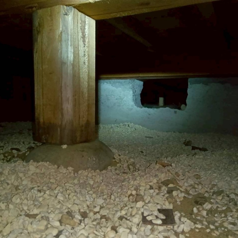 シロアリ駆除の施工事例（三重県鈴鹿市国府町）