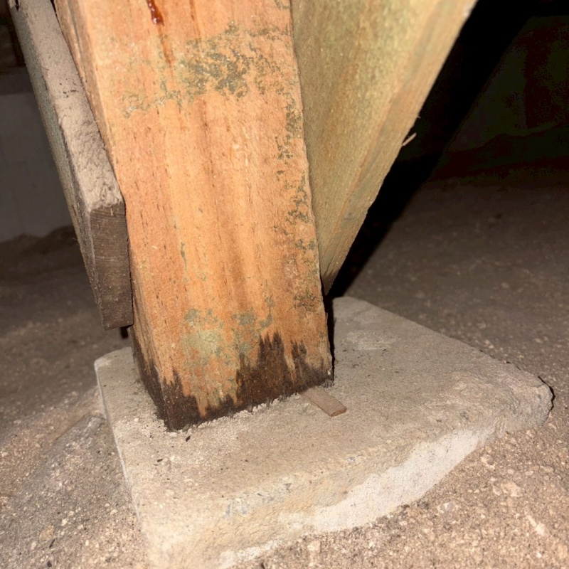 築年数43年のシロアリ駆除の施工事例（山口県山口市大内矢田南）