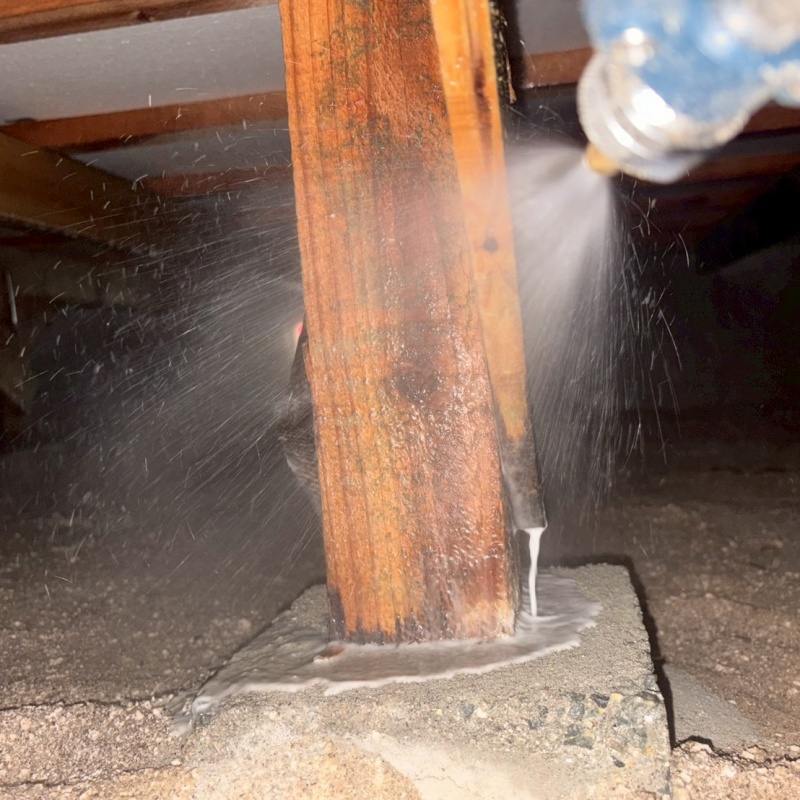 床束にシロアリ駆除剤を吹きつけている様子