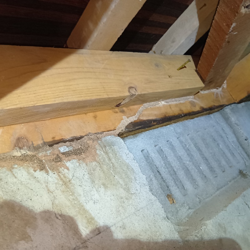 築年数20年のシロアリ駆除の施工事例（佐賀県鹿島市浜町乙）
