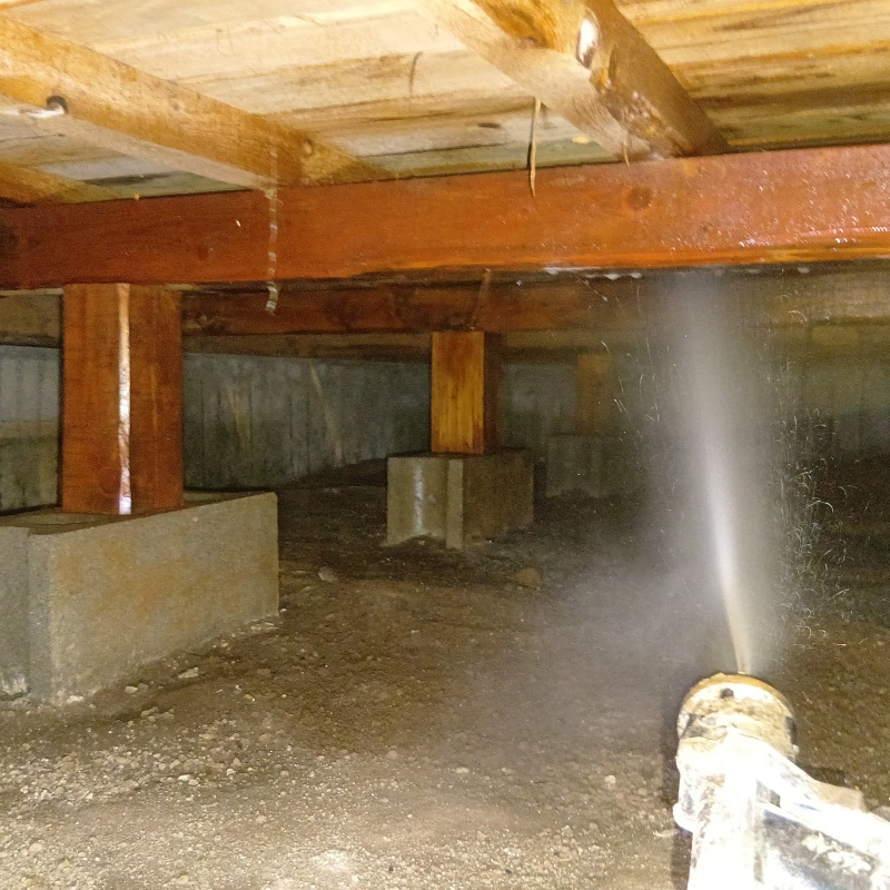 床下の木材にシロアリ駆除剤を散布