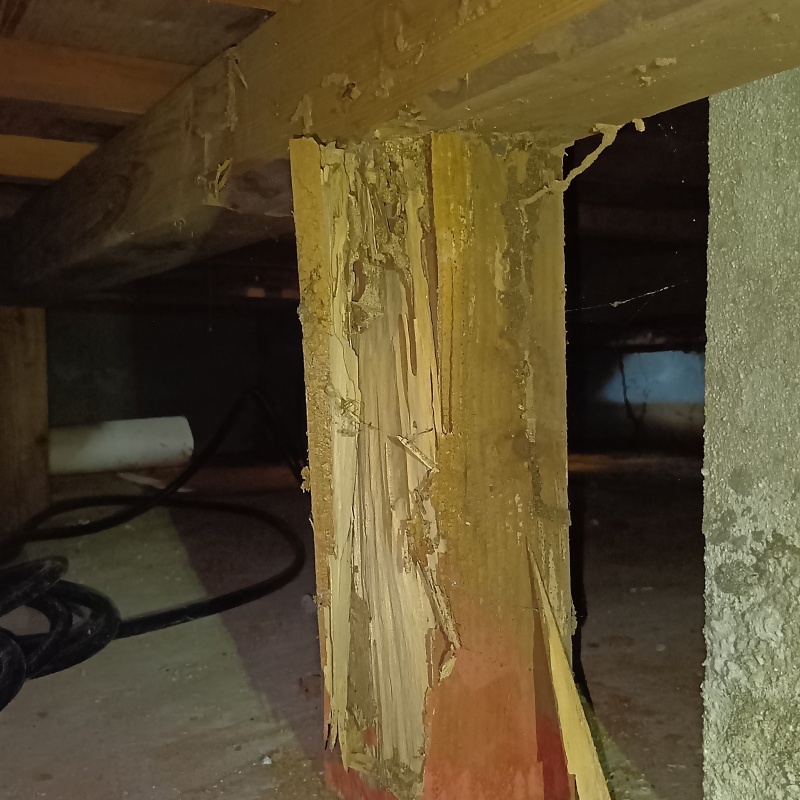 築年数50年のシロアリ駆除の施工事例（大阪府河内長野市千代田台町）