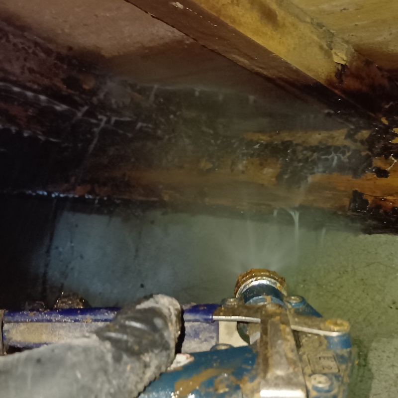 ダメージが蓄積した木材にシロアリ駆除剤を散布