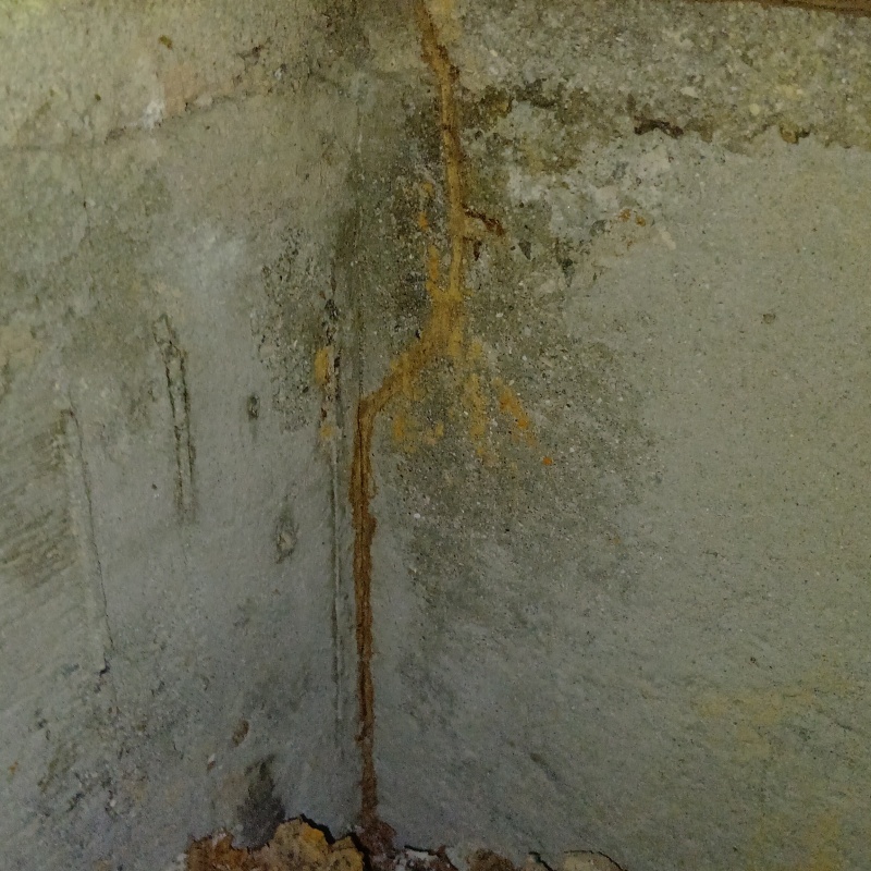 床下の基礎に作られた蟻道