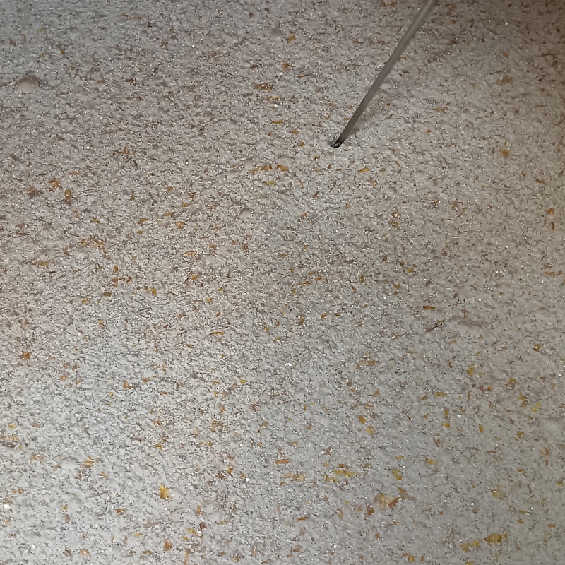 壁内にシロアリ駆除剤を散布