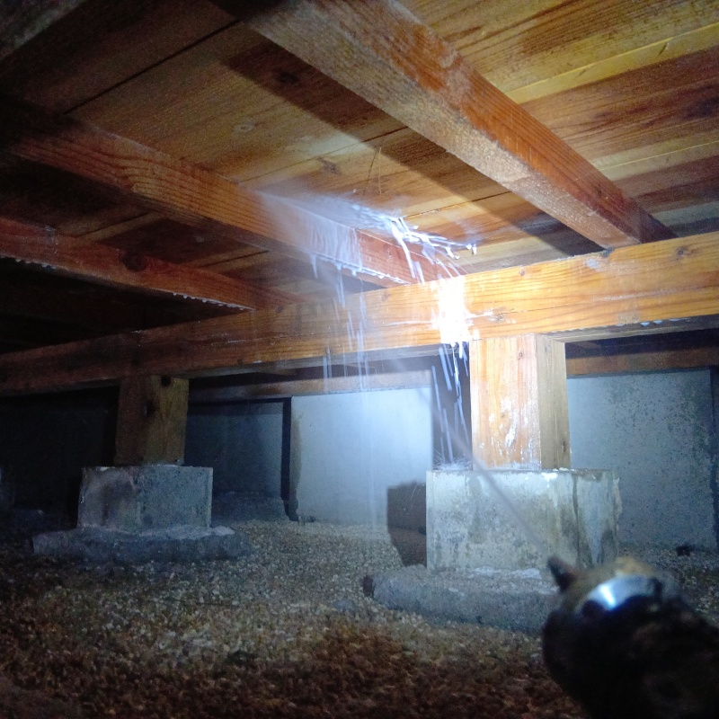 床下木材にシロアリ駆除剤を散布する様子