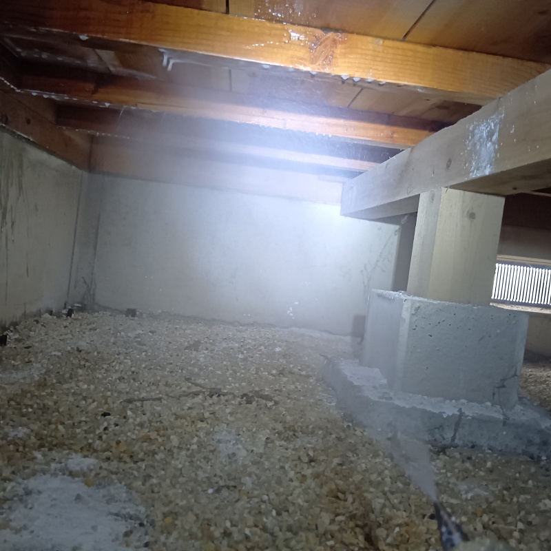 床下の基礎部分にシロアリ駆除剤を散布する様子