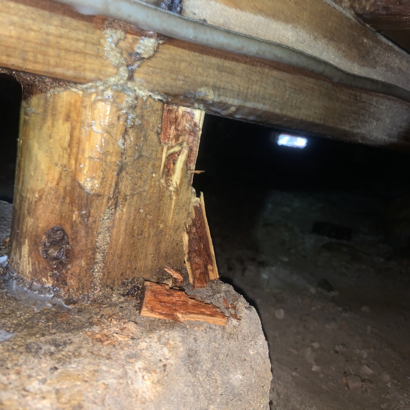 シロアリ駆除の施工事例（滋賀県彦根市太堂町）