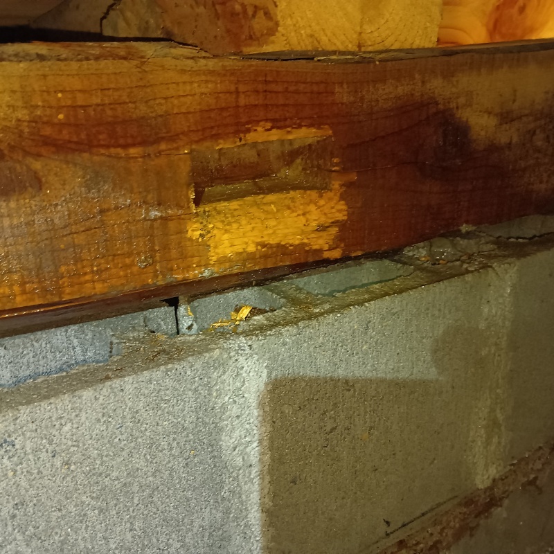 築年数50年のシロアリ駆除の施工事例（富山県小矢部市津沢）