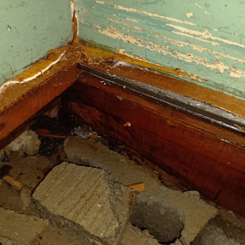 築年数69年のシロアリ駆除の施工事例（大分県由布市）