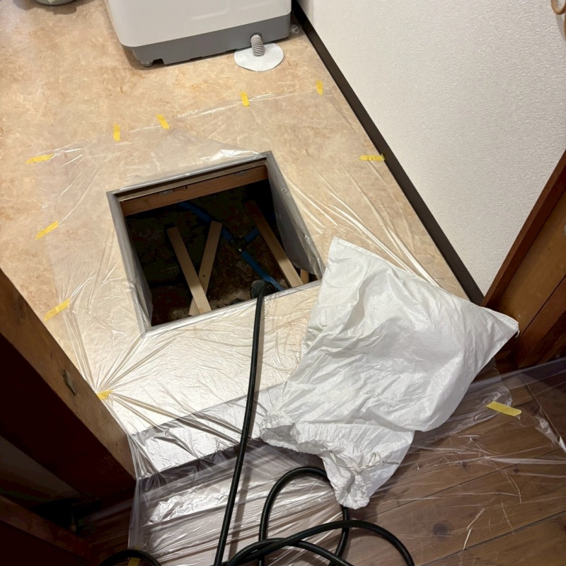 シロアリ駆除の施工事例（岡山県岡山市北区津島東）