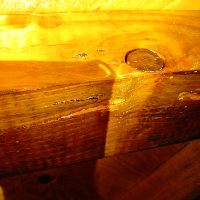 築年数25年のシロアリ駆除の施工事例（千葉県船橋市前原西）