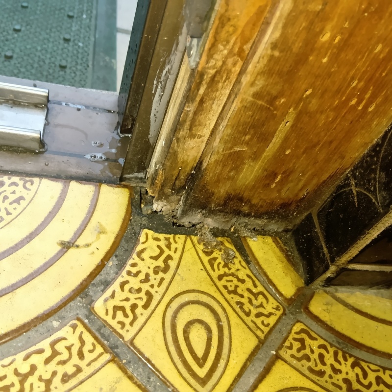 シロアリの食害により傷んだ木の柱