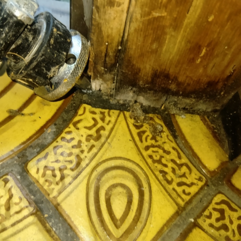 傷んだ木材に直接シロアリ駆除剤を注入