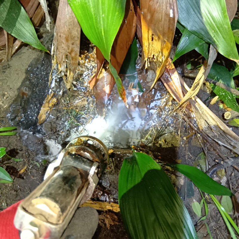 建物外周にシロアリ駆除剤を散布
