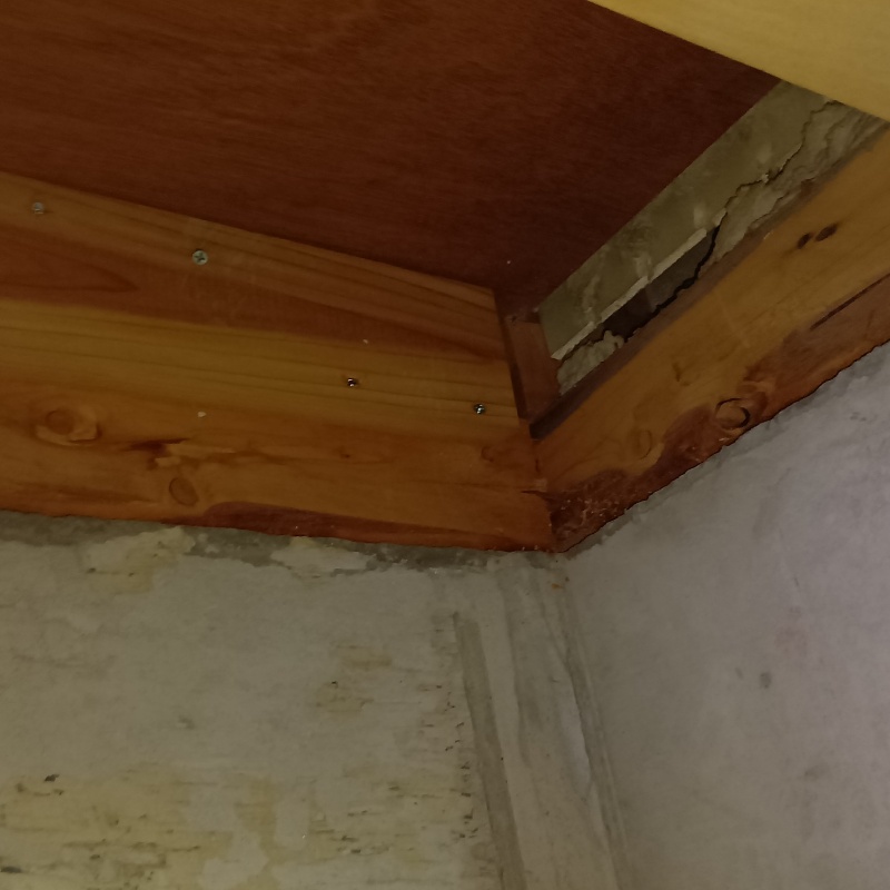 防蟻剤を吹きつける前の様子