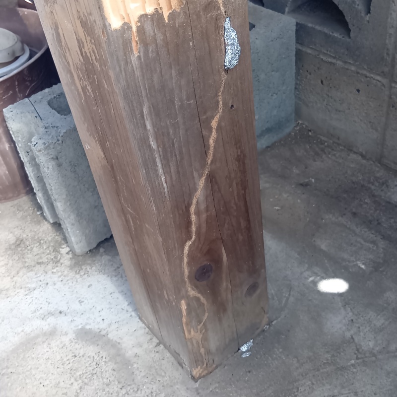 築年数55年のシロアリ駆除の施工事例（大阪府堺市東区菩提町）