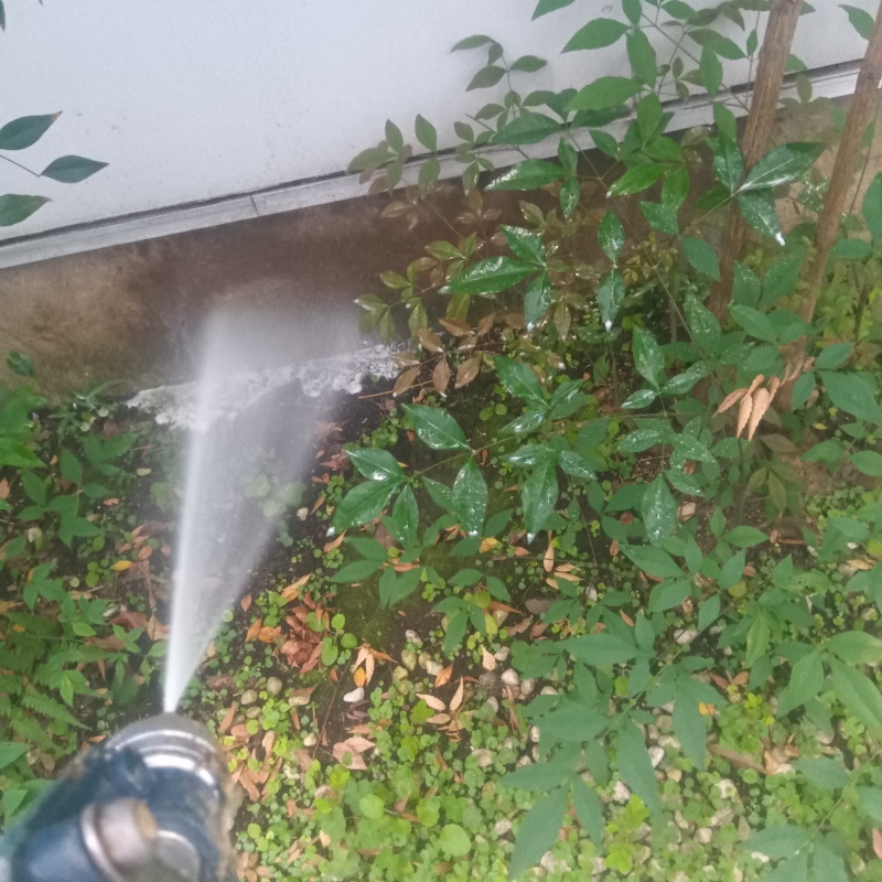 シロアリ駆除の施工事例（東京都世田谷区）