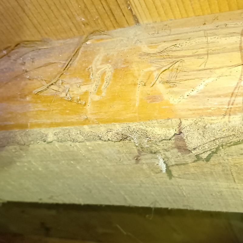 築年数60年のシロアリ駆除の施工事例（京都府綾部市上杉町門ノ坪）