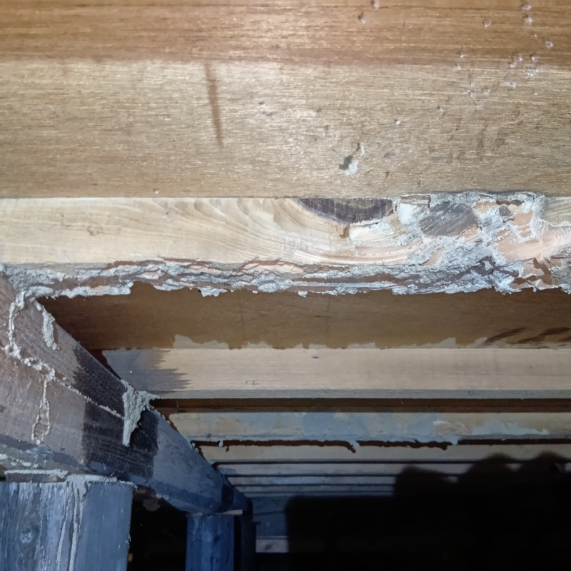 シロアリ駆除の施工事例（和歌山県和歌山市井ノ口）