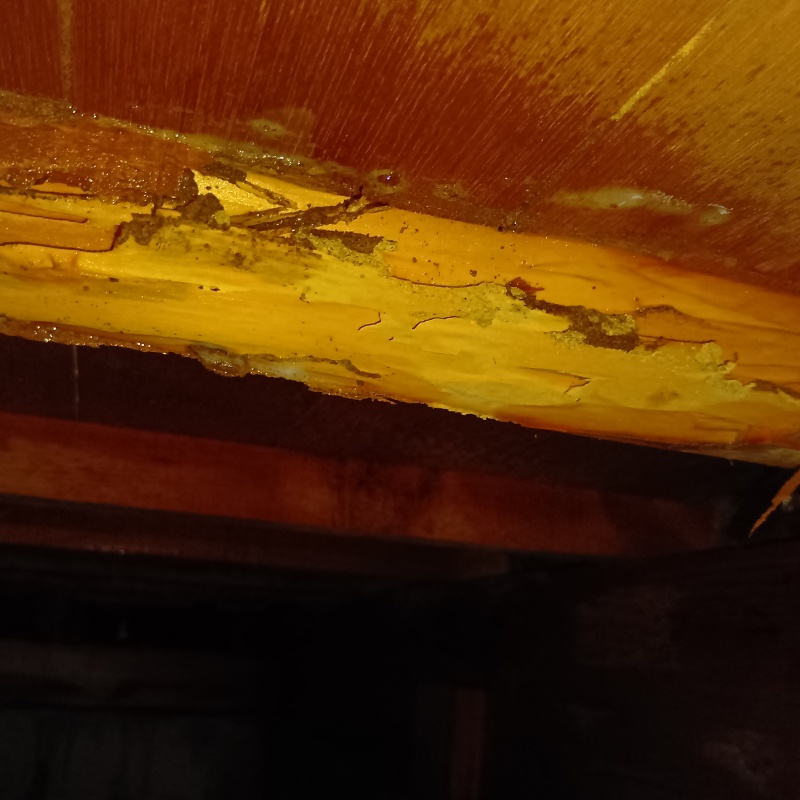 シロアリ駆除の施工事例（埼玉県鴻巣市前砂）