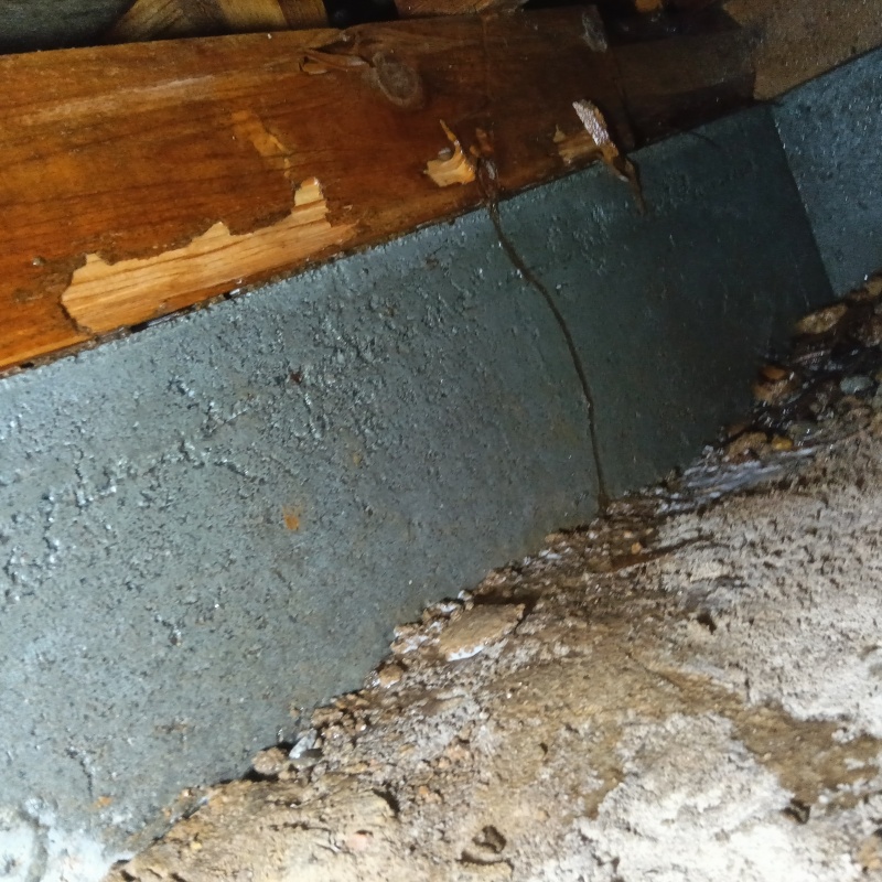 築年数50年のシロアリ駆除の施工事例（静岡県浜松市中央区高町）