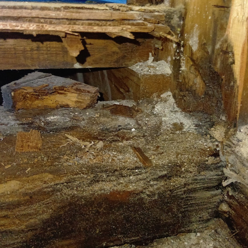 築年数41年のシロアリ予防の施工事例（大阪府摂津市東別府）