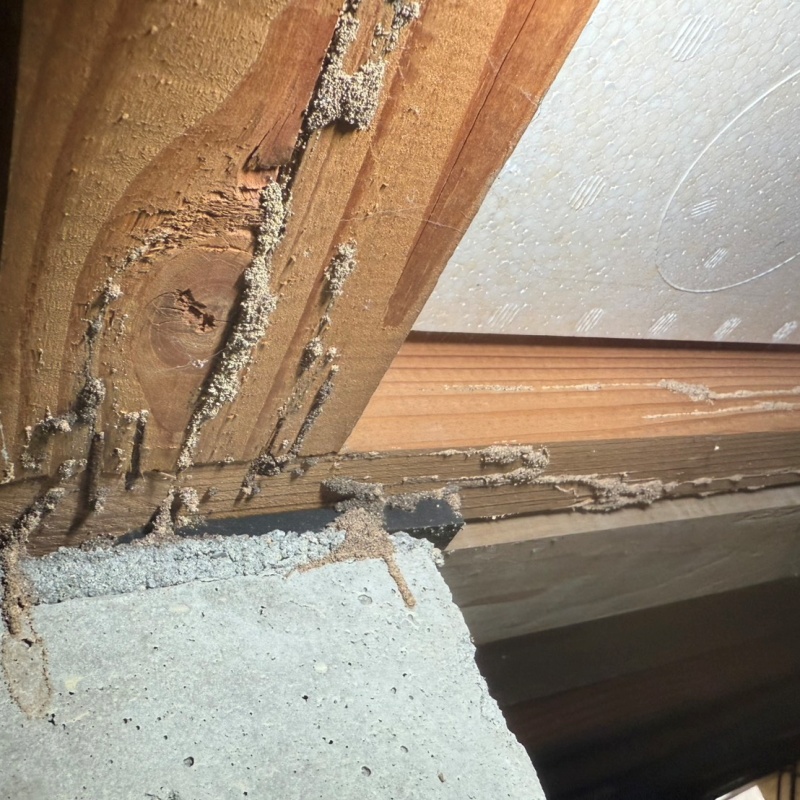 築年数36年のシロアリ駆除の施工事例（滋賀県大津市大石東）