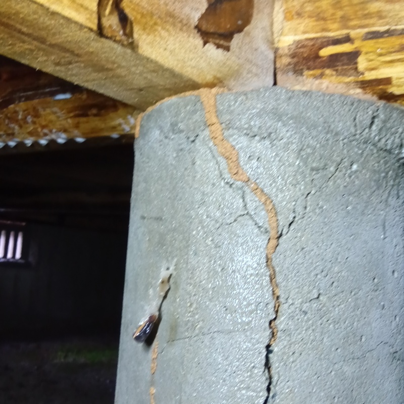 築年数50年のシロアリ駆除の施工事例（福岡県古賀市今の庄）