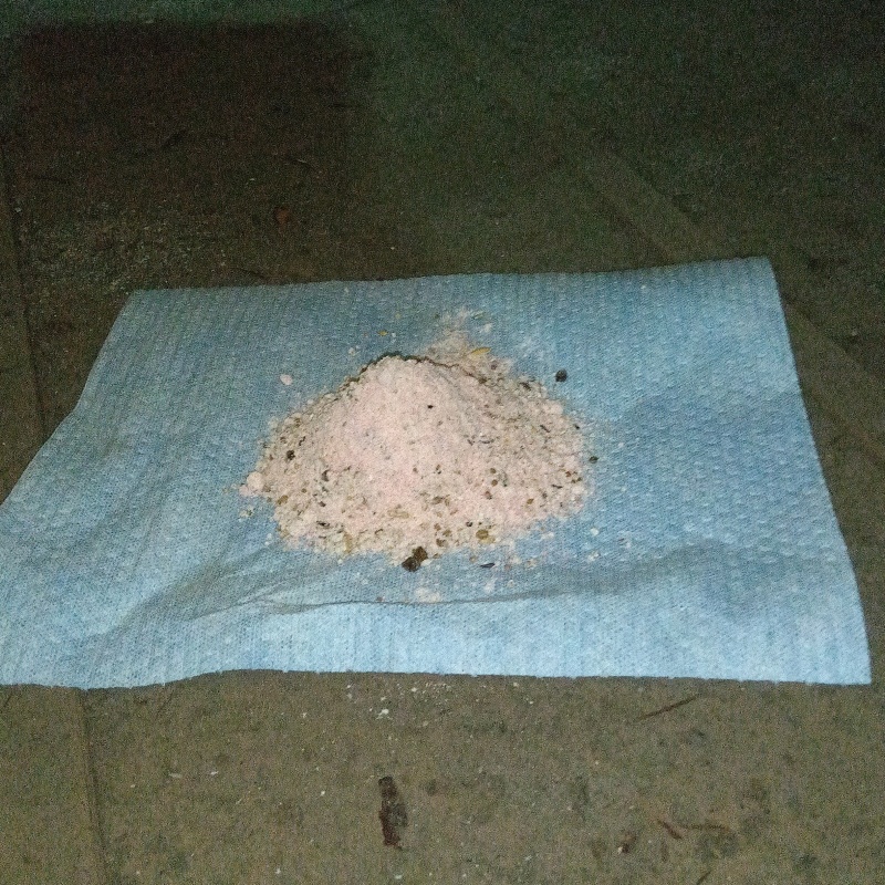 殺鼠剤を設置