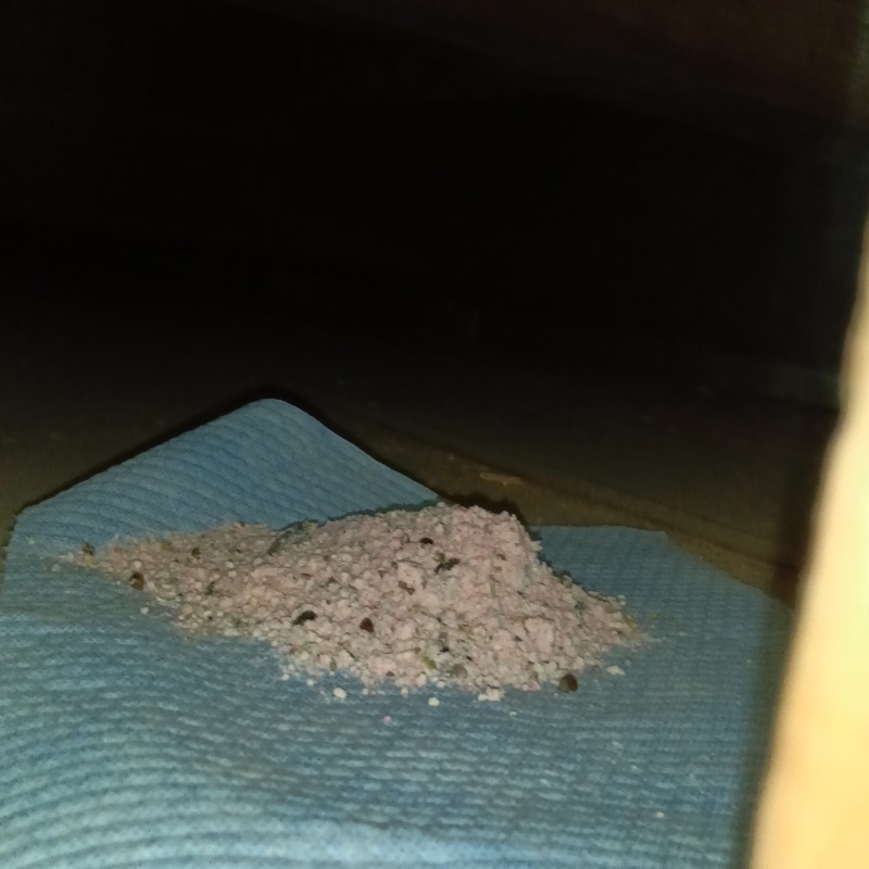 殺鼠剤を設置