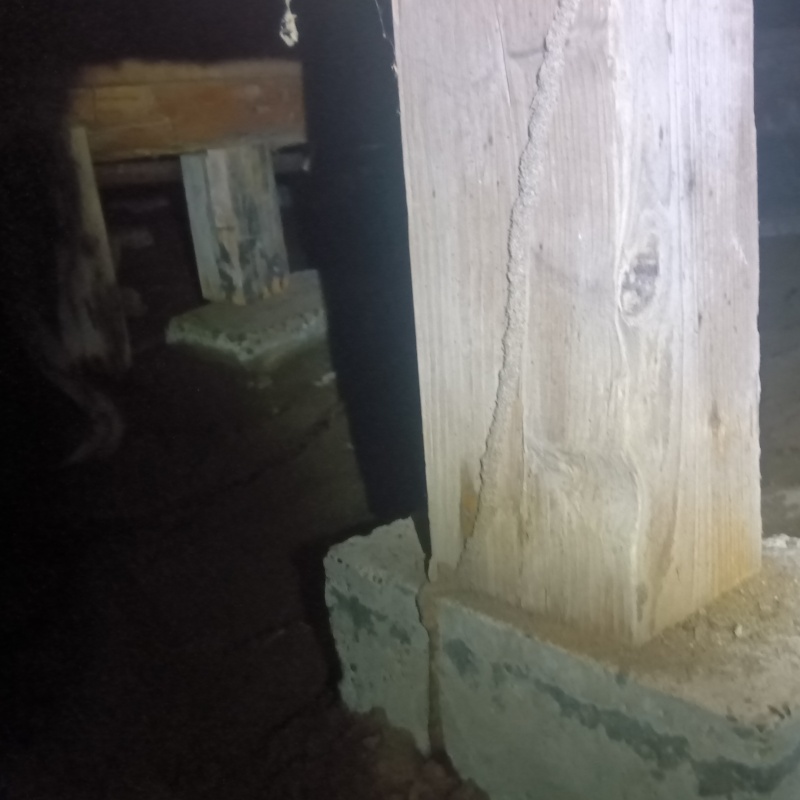 築年数80年のシロアリ駆除の施工事例（新潟県柏崎市田塚）