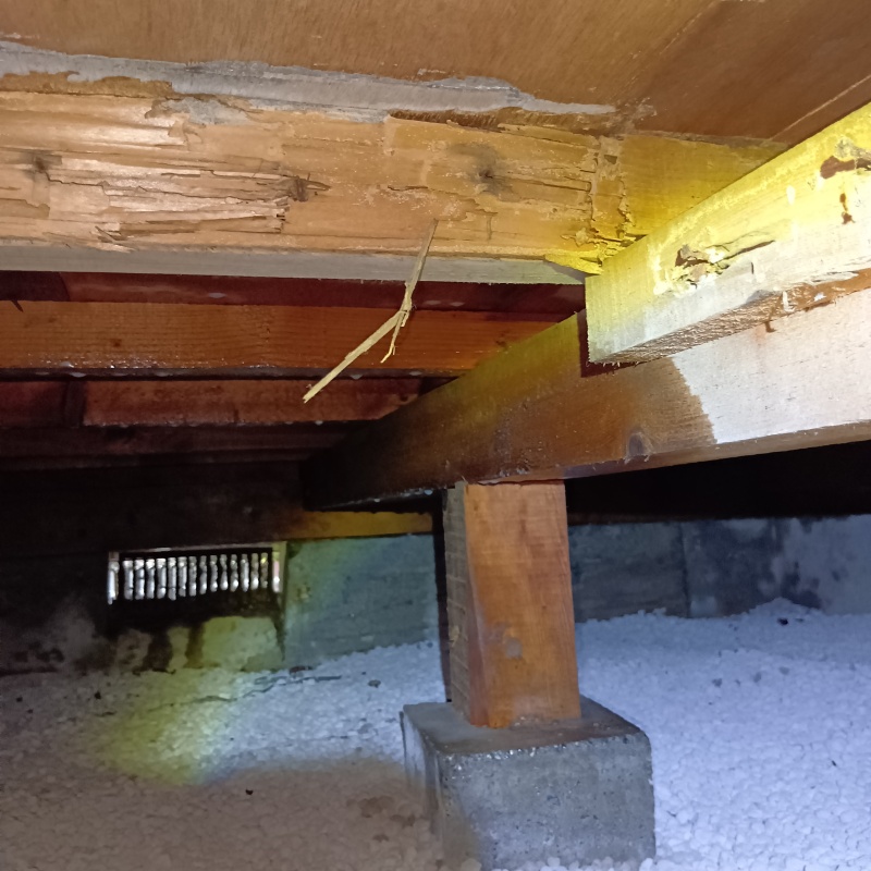 シロアリ予防の施工事例（神奈川県川崎市多摩区南生田）