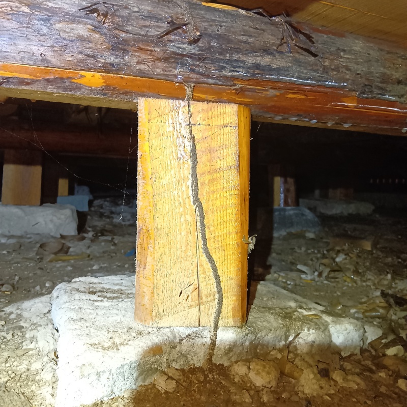 築年数70年のシロアリ駆除の施工事例（福井県福井市大丹生町）