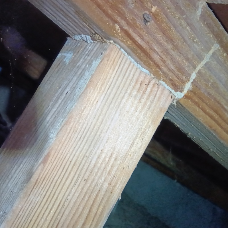 築年数40年のシロアリ駆除の施工事例（千葉県安房郡鋸南町下佐久間）