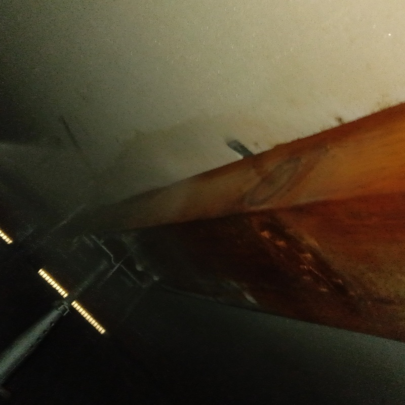 築年数19年のシロアリ予防の施工事例（千葉県習志野市香澄）