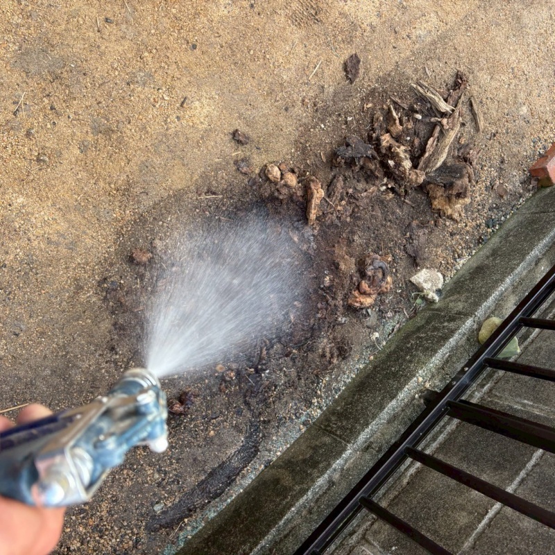 築年数40年のシロアリ駆除の施工事例（山口県下関市小月南町）