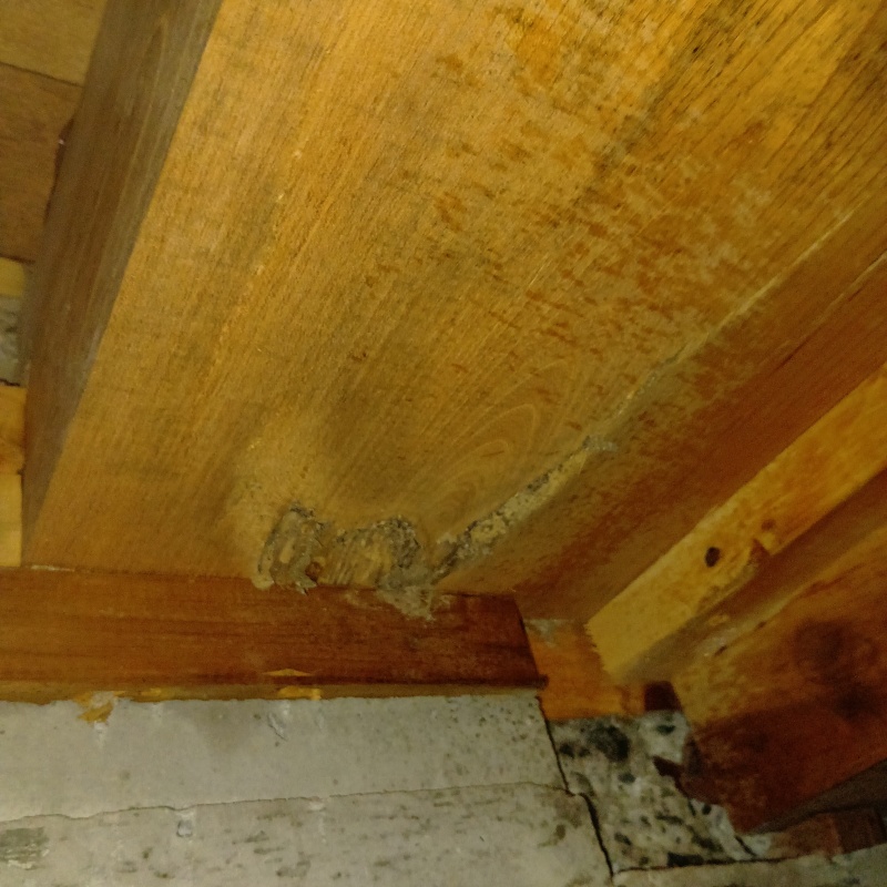 築年数26年のシロアリ駆除の施工事例（愛媛県西予市宇和町窪）