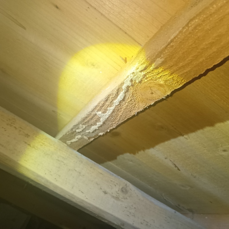 築年数40年のシロアリ駆除の施工事例（宮城県大崎市古川飯川熊野）