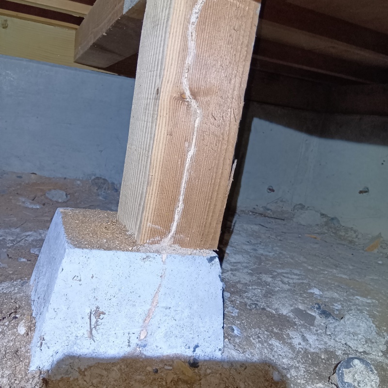 築年数30年のシロアリ駆除の施工事例（京都府宇治市五ケ庄梅林）