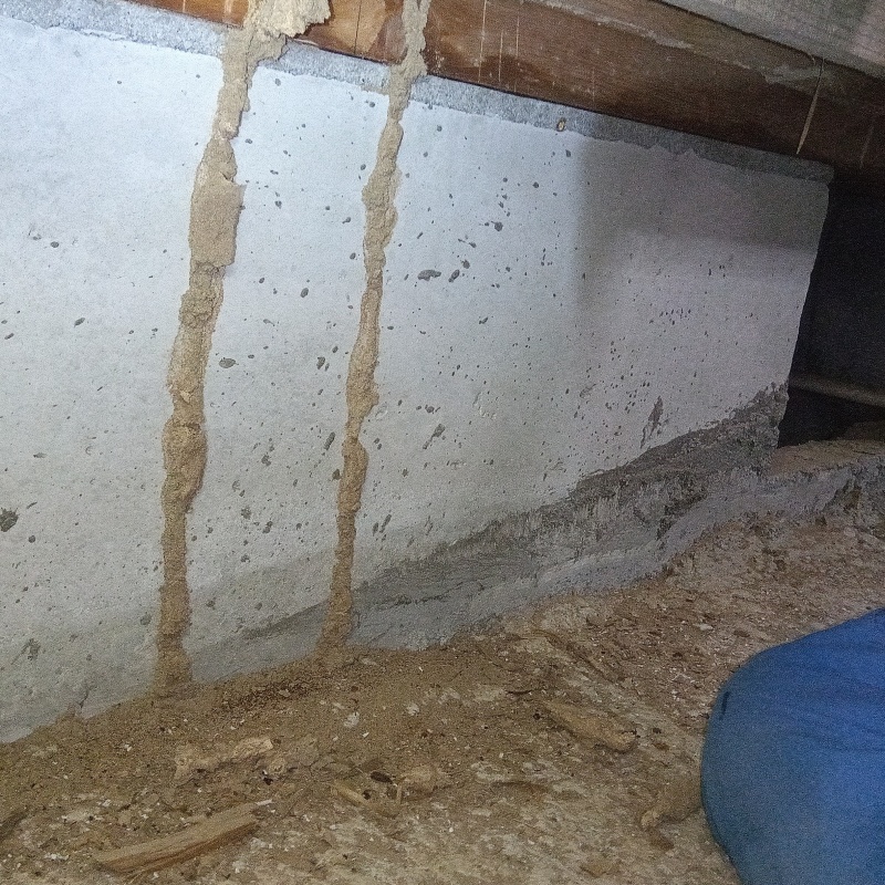 築年数20年のシロアリ駆除の施工事例（千葉県香取市大戸）