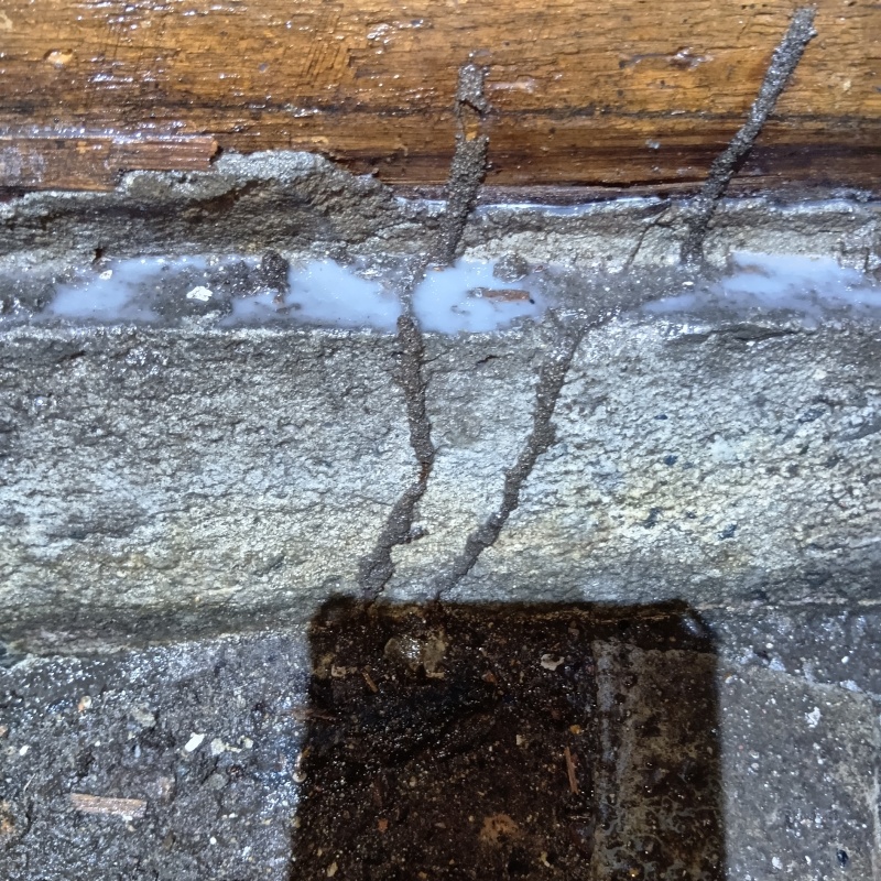 築年数60年のシロアリ駆除の施工事例（大阪府大阪市北区中崎西）