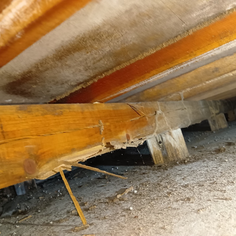築年数36年のシロアリ予防の施工事例（福岡県北九州市八幡西区浅川）