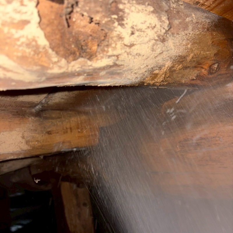 シロアリ予防の施工事例（広島県安芸高田市高宮町川根）