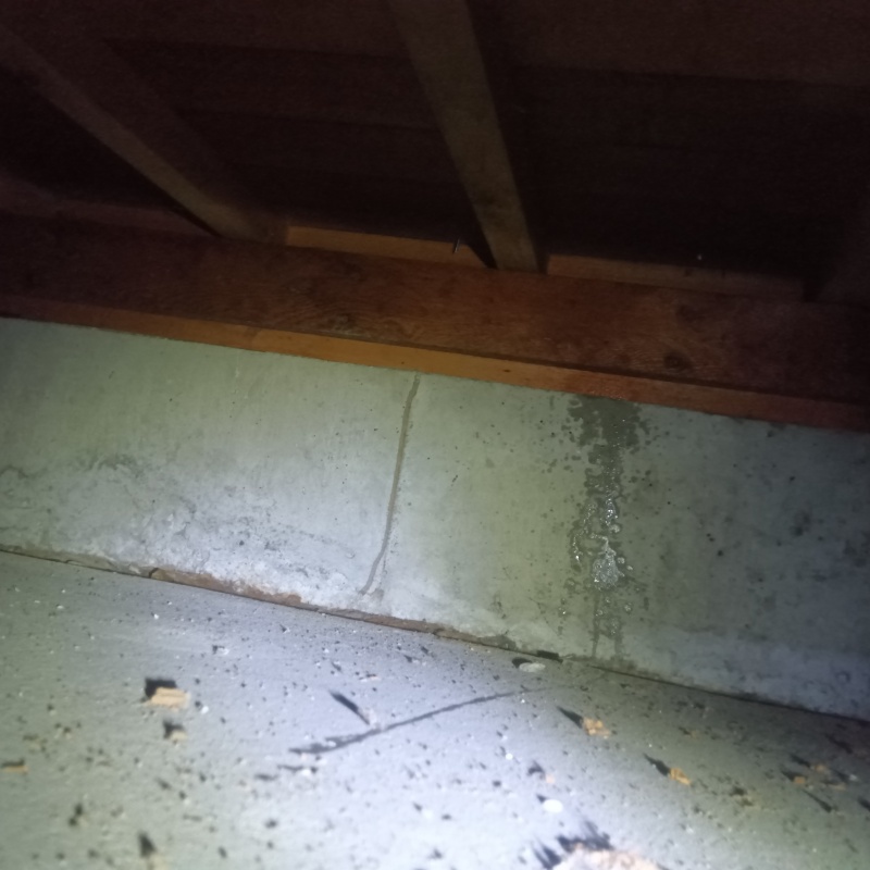 シロアリ駆除の施工事例（山梨県甲府市）