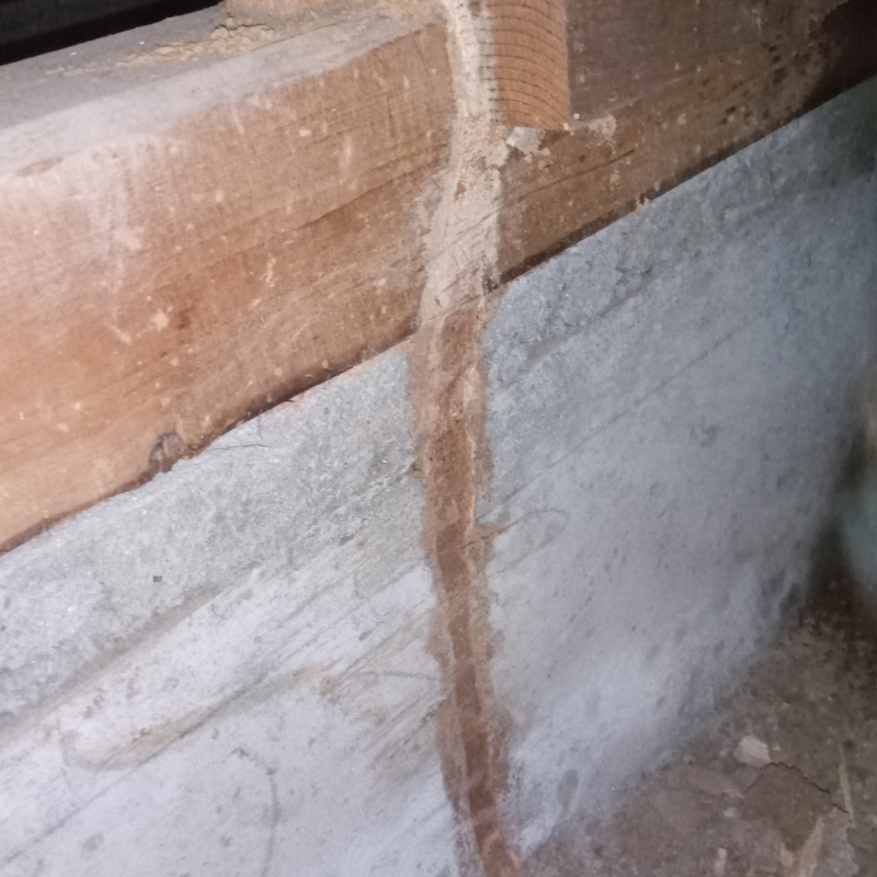 シロアリ駆除の施工事例（長崎県大村市木場）